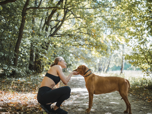 Working out with your dog – 5 easy workout ideas for you and your furry friend